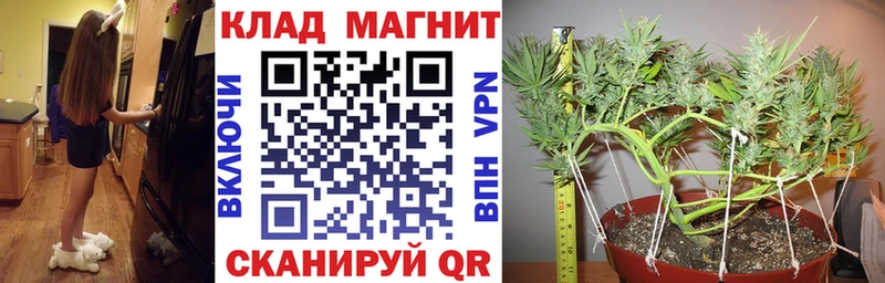 Магазин наркотиков Жуковский Амфетамин Мефедрон ГАШИШ