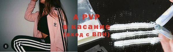 гашик Алзамай