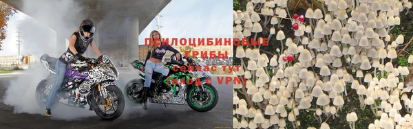 гашик Алзамай
