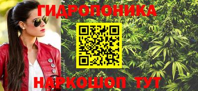 ГАЛЛЮЦИНОГЕННЫЕ ГРИБЫ Кулебаки