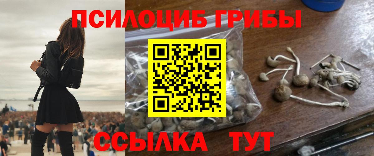 Псилоцибиновые грибы Magic Shrooms  Вход с VPN  Жуковский 